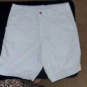 Mens American Eagle Next Level Flex Shorts